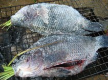 Salt Crusted Thai Fish BBQ