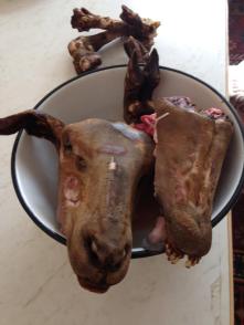 11148380_1634354056801639_1273275687695458997_o