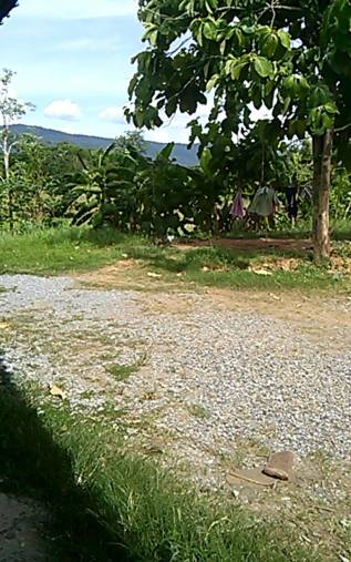 11351109_10152943327143663_912491744_o