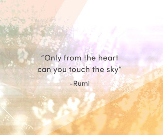 Olivia Gratitude.png