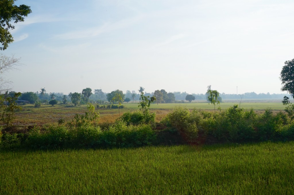 How Are You&nbsp;Feeling?