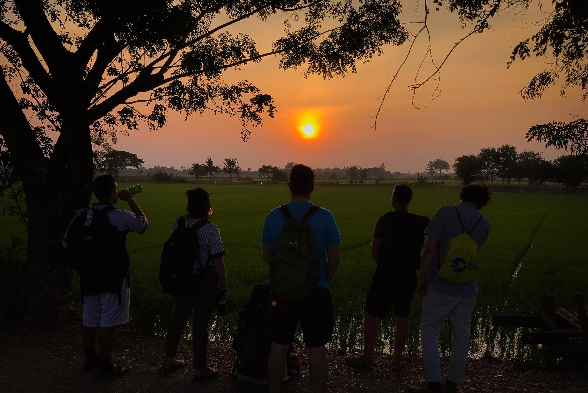 28641117_10156325476850087_1318497742_o