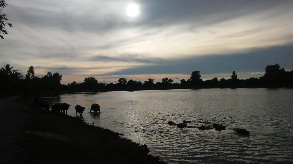 Laura’s Site Through Ray’s&nbsp;Eyes