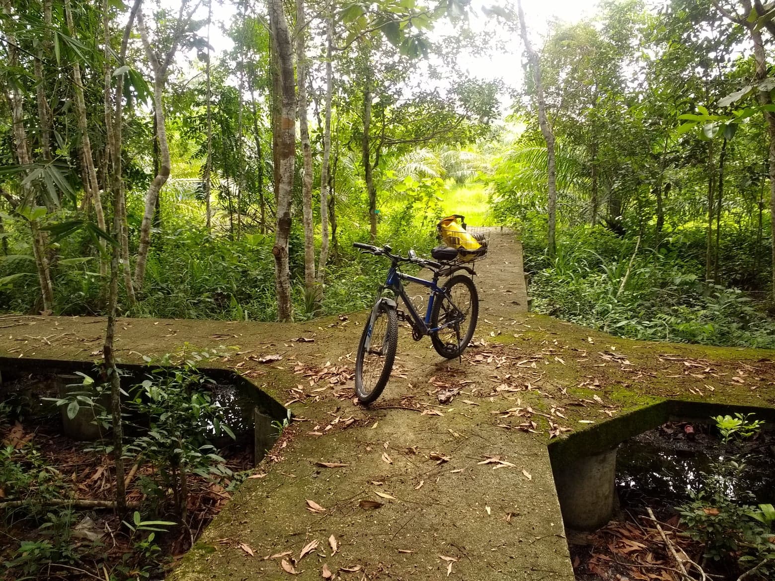 42349666_1999986716727348_4479980287949799424_n