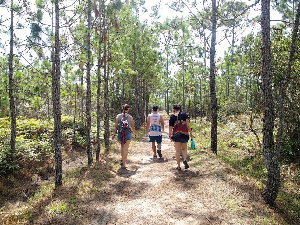Phu Kradueng National&nbsp;Park