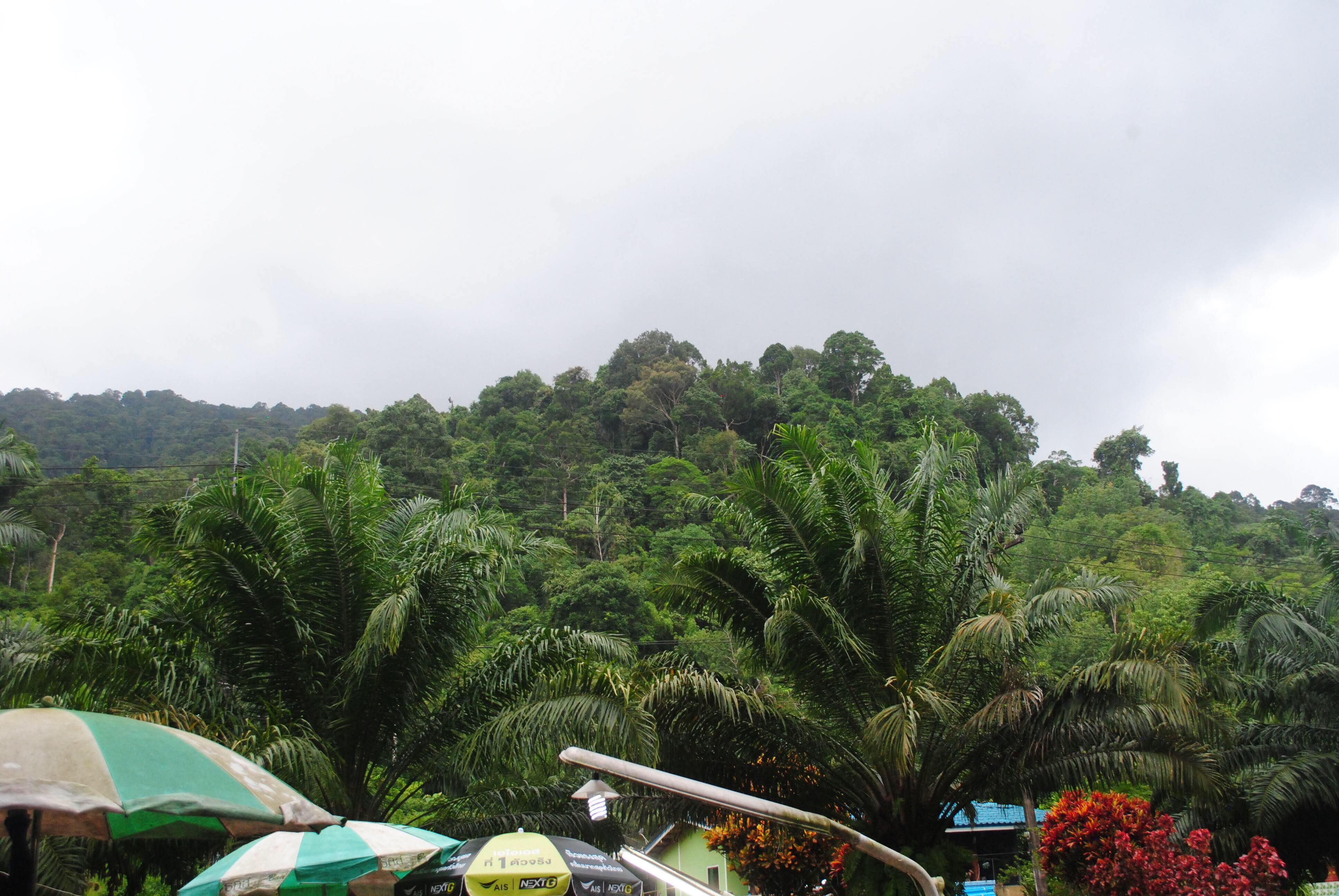 79350044_1070639253270329_4838977521682743296_n