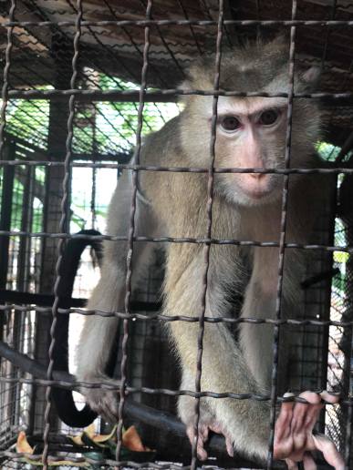 84021048_188150582553997_6389732187536621568_n