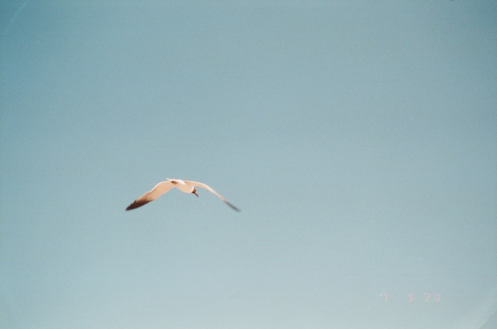 A Picture Worth A Thousand&nbsp;Words