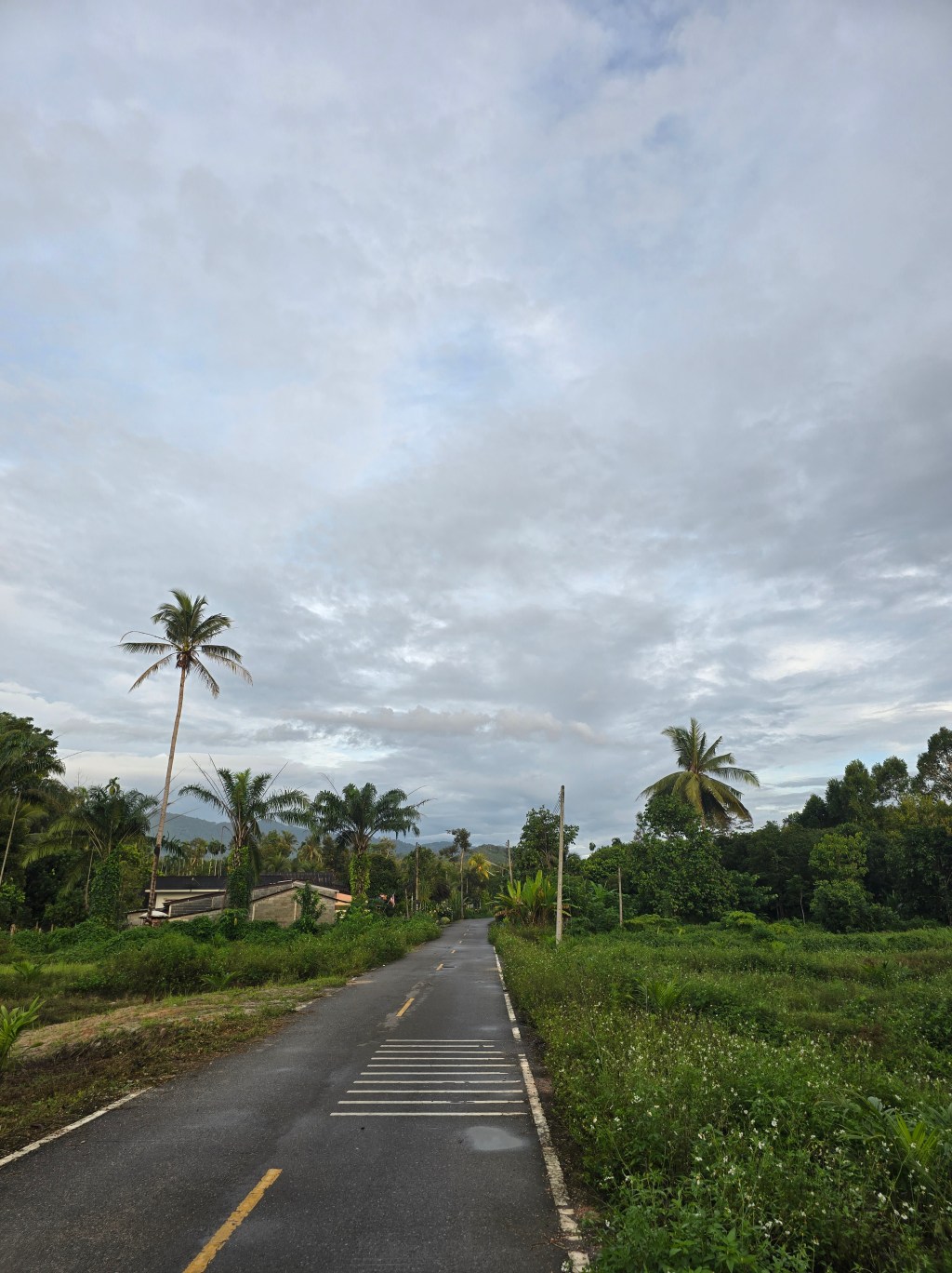 Today I Turned&nbsp;Left